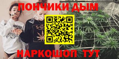 крисы Гагарин