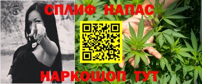 крисы Гагарин