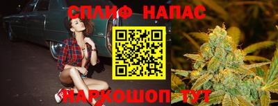 крисы Гагарин
