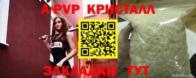 крисы Гагарин