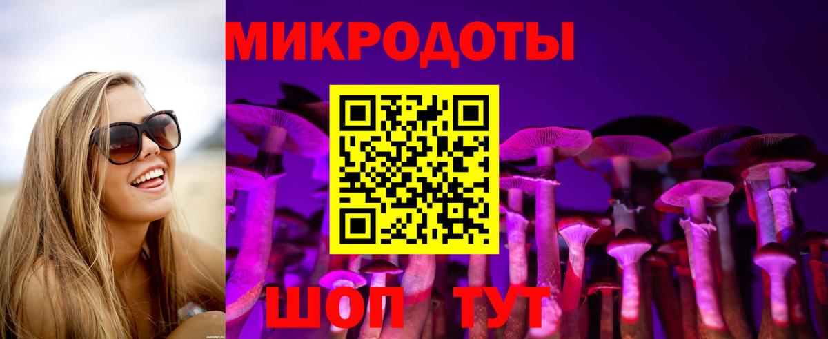 Галлюциногенные грибы мицелий  продажа наркотиков  Михайловка  Вход с VPN 